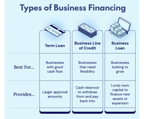Comparing Small Business Loan Options in the USA: 2025 Edition
